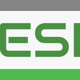 Logo ESI S.p.A.