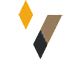 Logo Vox Valor Capital Limited