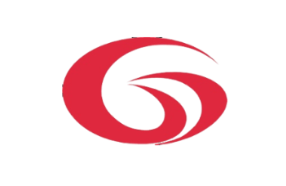 Logo G-Vision International (Holdings) Limited