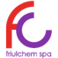 Logo Friulchem S.p.A.