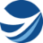 Logo Blossomvale Holdings Ltd.