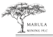 Logo Marula Mining Plc