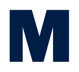 Logo Mesh Systems LLC