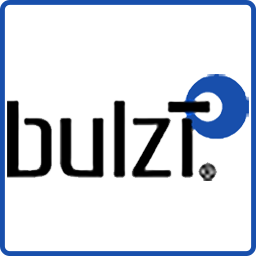 Logo Bulzi LLC