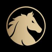 Logo Stallion Uranium Corp.