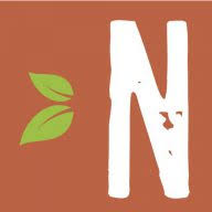 Logo International Nut & Dried Fruit Council