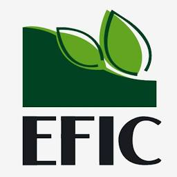 Logo Egyptian Financial & Industrial Co.