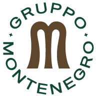Logo Montenegro Srl