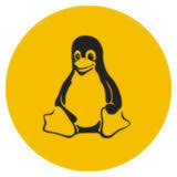 Logo LinuxWizardry, Inc.