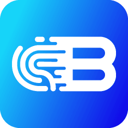Logo Biometrica Systems, Inc.