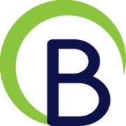 Logo BFS Group Ltd.