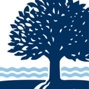 Logo Connecticut College