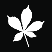 Logo London Borough of Redbridge
