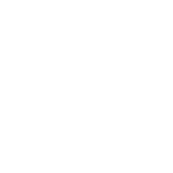 Logo D&S Ltd.