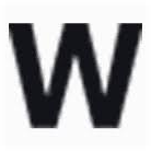 Logo Williams Motor Co. (Holdings) Ltd.