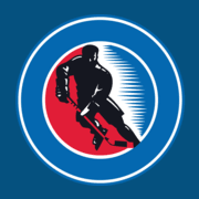 Logo Hockey Hall of Fame & Museum