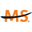 Logo The National Multiple Sclerosis Society