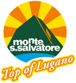 Logo Funicolare Lugano-Paradiso-Monte San Salvatore SA