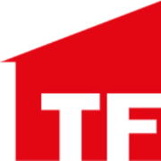 Logo Teamframes Ltd.