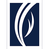 Logo Emirates Financial Services PSC