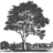 Logo Ridgeway Country Club