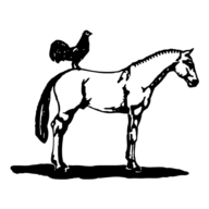 Logo Therapeutic Horseback Riding, Inc.
