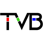 Logo Television Bureau of Advertising, Inc.