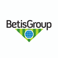 Logo Betis Group, Inc.