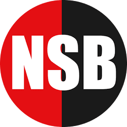 Logo Nasser Social Bank