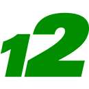 Logo 12Auto Group GmbH