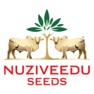 Logo Nuziveedu Seeds Ltd.