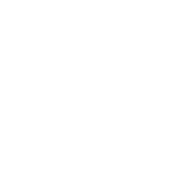 Logo Daesung Fine Tech Co., Ltd.