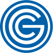 Logo Goodin Co.