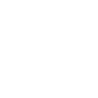 Logo Frank V. Radomski & Sons, Inc.