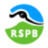 Logo Royal Society for The Protection of Birds