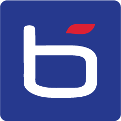 Logo Bluechip Infotech Pty Ltd.