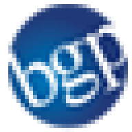 Logo BGP Management Consulting SpA
