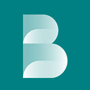Logo Roland Berger Strategy Consultants SRL
