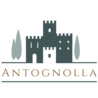 Logo Antognolla SpA