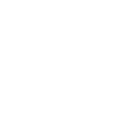 Logo Terminal Internacional Del Sur SA
