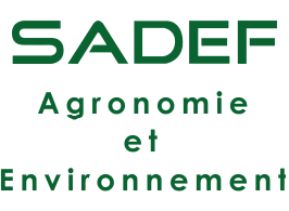 Logo Sadef