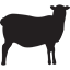 Logo New Zealand Meat Board
