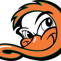 Logo Long Island Ducks