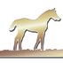 Logo California Thoroughbred Breeders Association