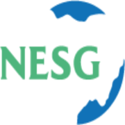 Logo The Nigerian Economic Summit Group