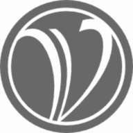 Logo Virginia Council of CEO