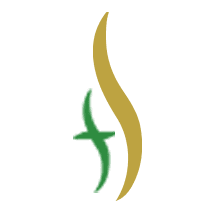 Logo Foundation Securities Pvt Ltd.