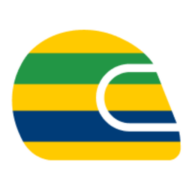 Logo Instituto Ayrton Senna
