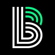 Logo Big Brothers Big Sisters of Metropolitan Chicago