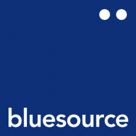 Logo Bluesource Information Ltd.